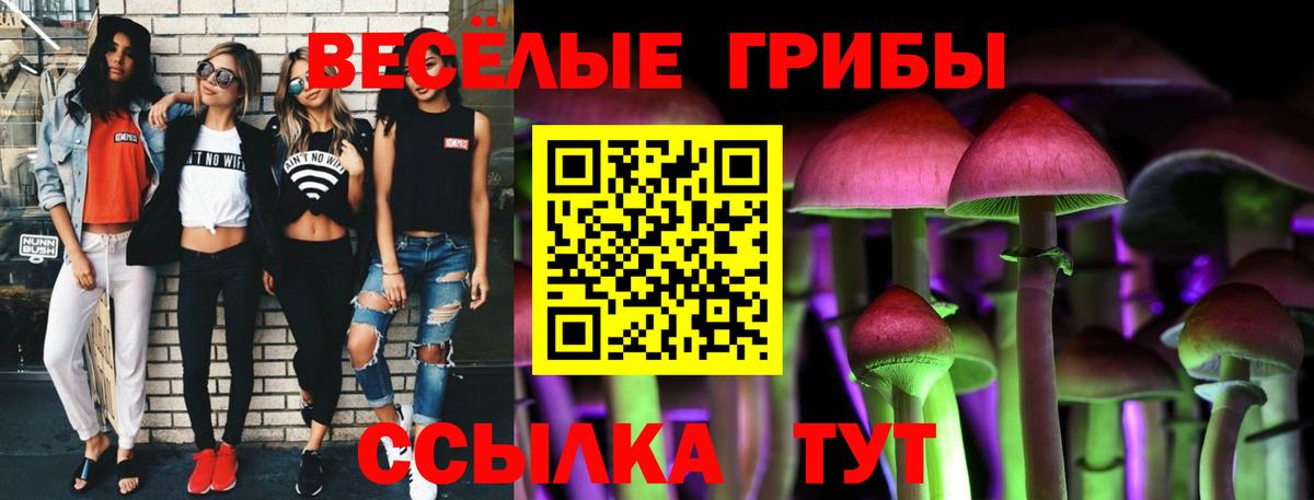 Черняховск  Псилоцибиновые грибы Magic Shrooms  Вход с VPN 